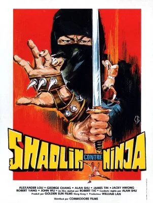 Shaolin vs. Ninja poster