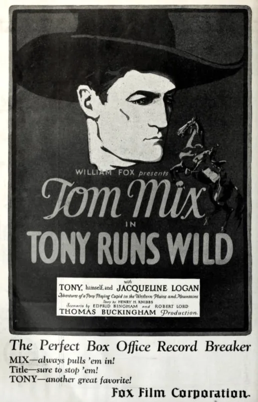 Tony Runs Wild poster