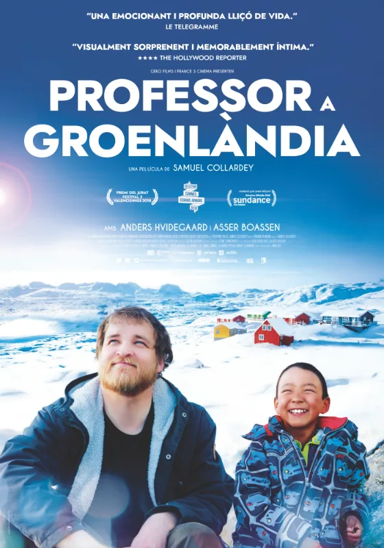 A Polar Year poster
