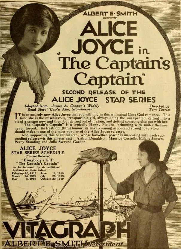 The Captain's Captain poster