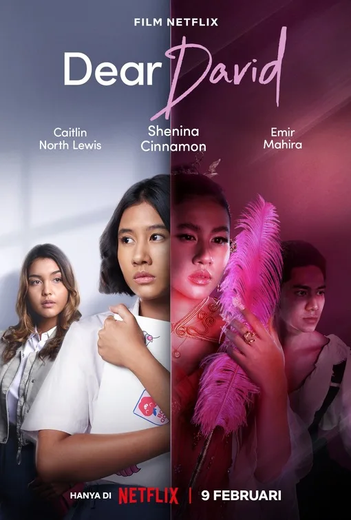 Dear David poster