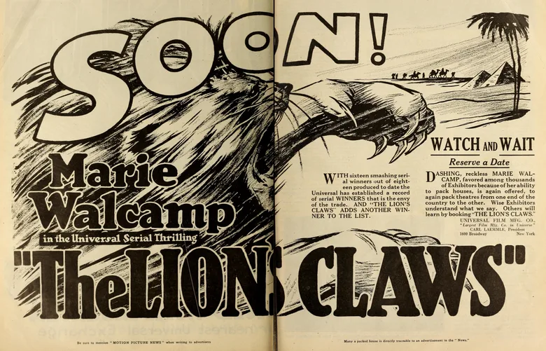 The Lion's Claws poster