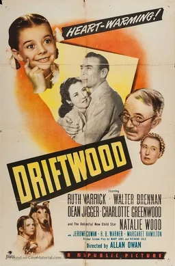 Driftwood poster