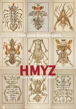 Insects poster