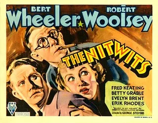 The Nitwits poster
