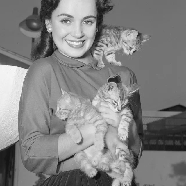 Susan Cabot