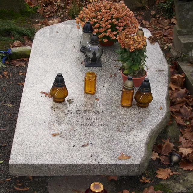 Tadeusz Schmidt