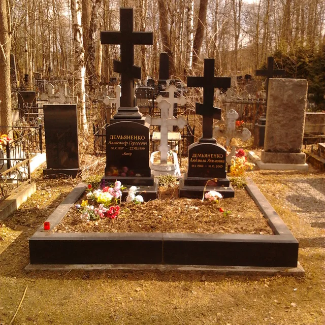 Aleksandr Demyanenko