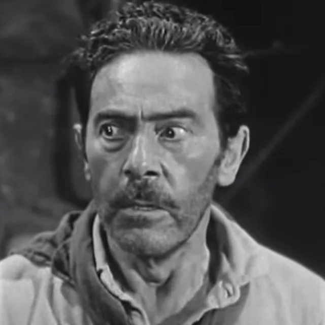 Charles Wagenheim