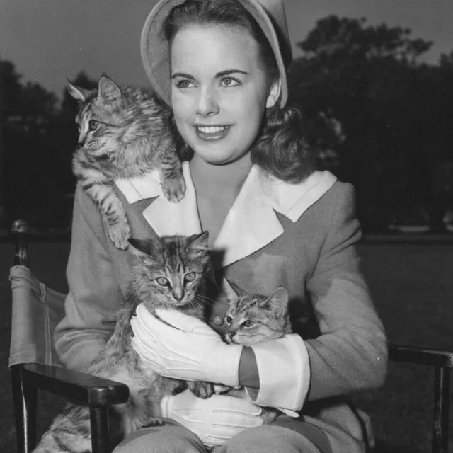 Terry Moore