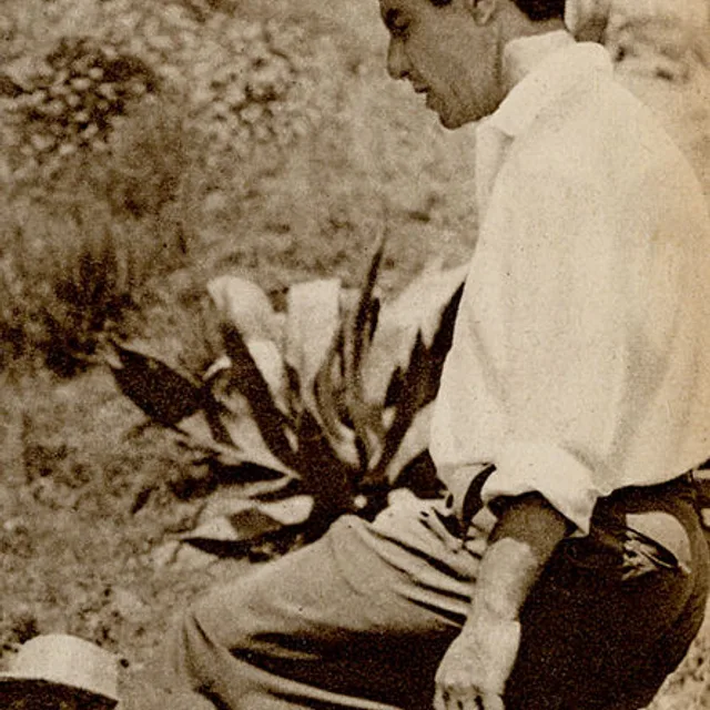 Renato Castellani