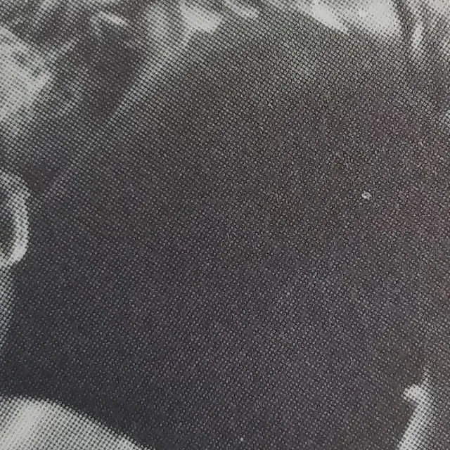 Sam Robards