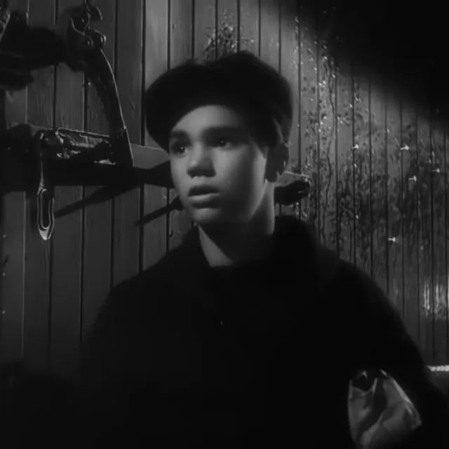 Darryl Hickman