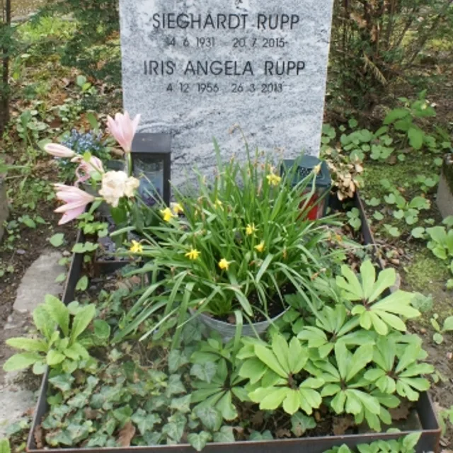 Sieghardt Rupp