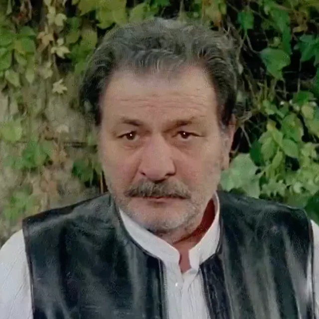 Furio Meniconi