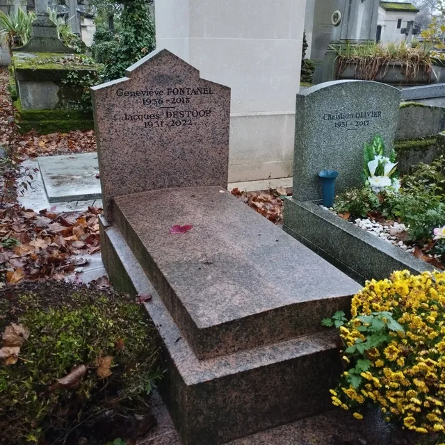 Geneviève Fontanel