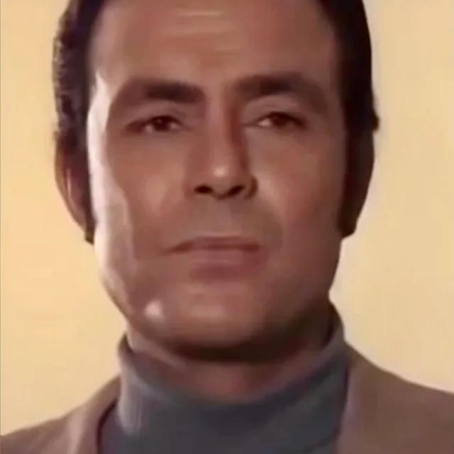 Salah Zulfikar