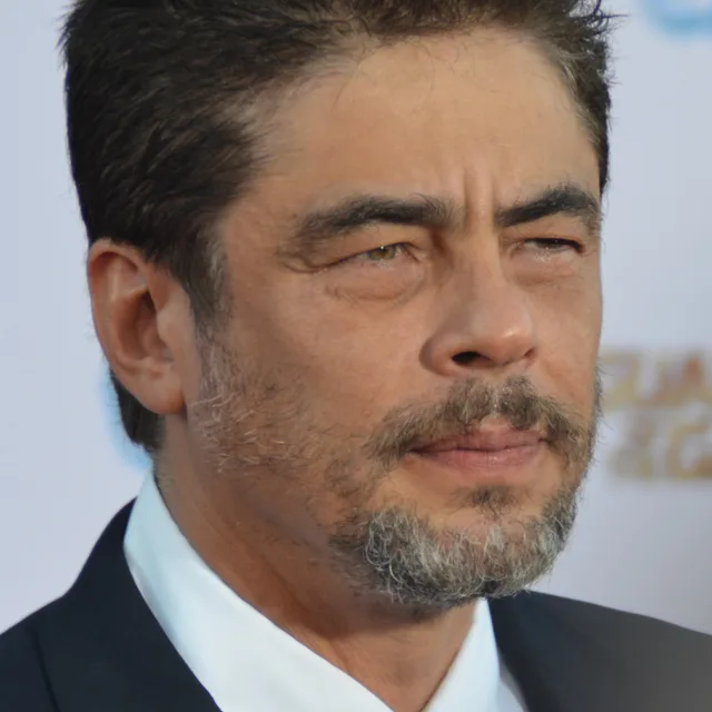 Benicio del Toro