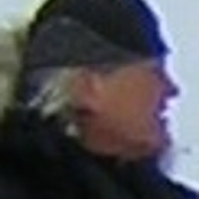 Harald Paalgard