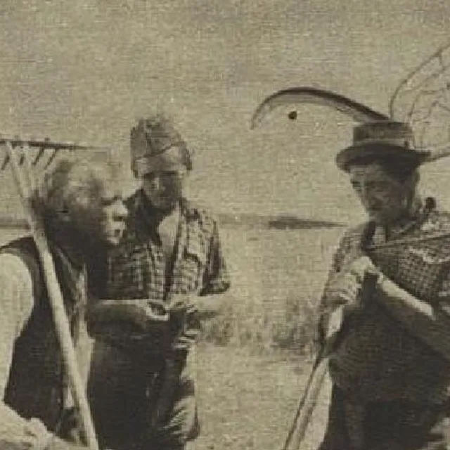 Karel Effa