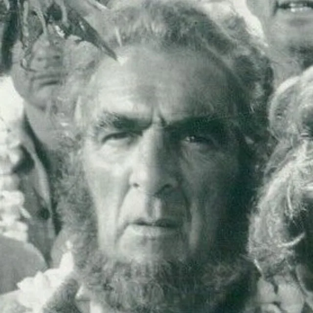 Noel Purcell
