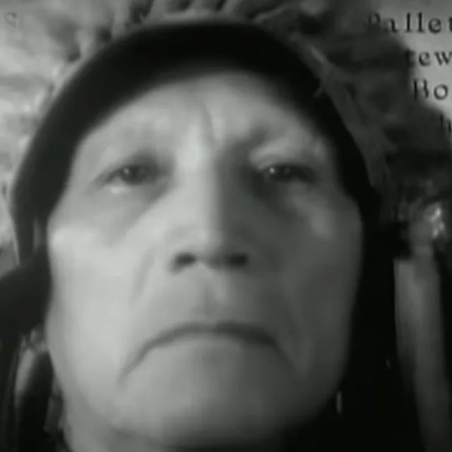 Chief John Big Tree