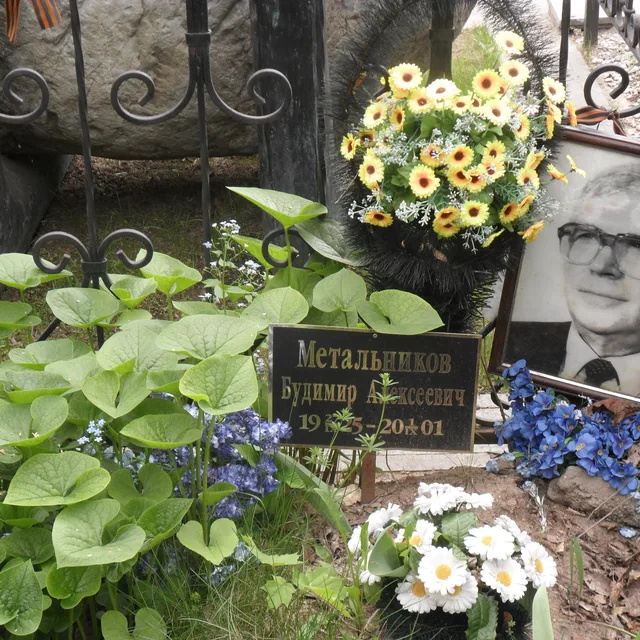 Budimir Metalnikov
