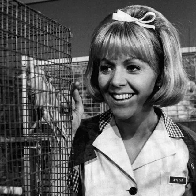 Arlene Golonka