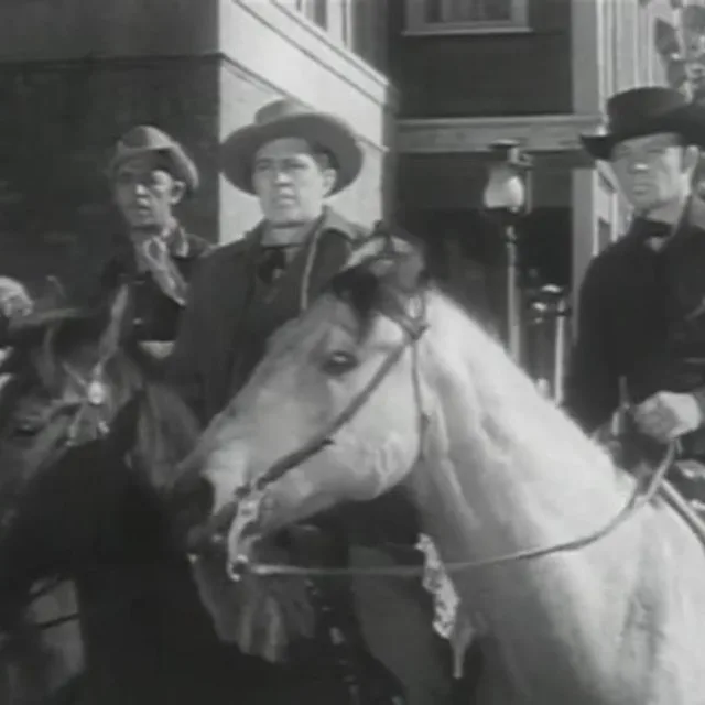 Tex Palmer