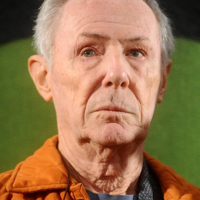 Bruno Bozzetto