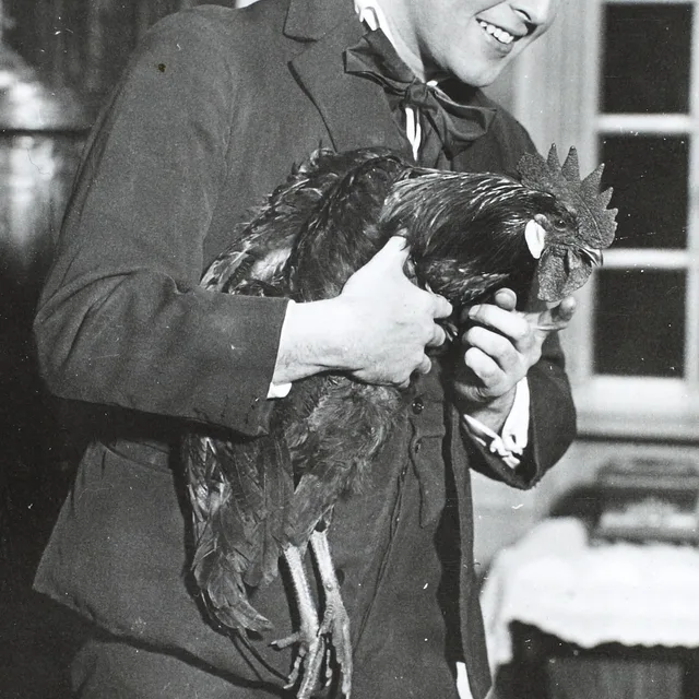 Hans Kurt