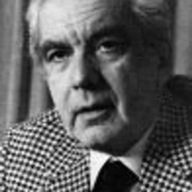 Dimitris Horn