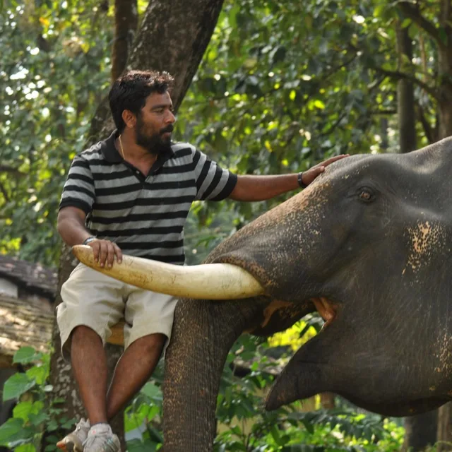 M. Sukumar