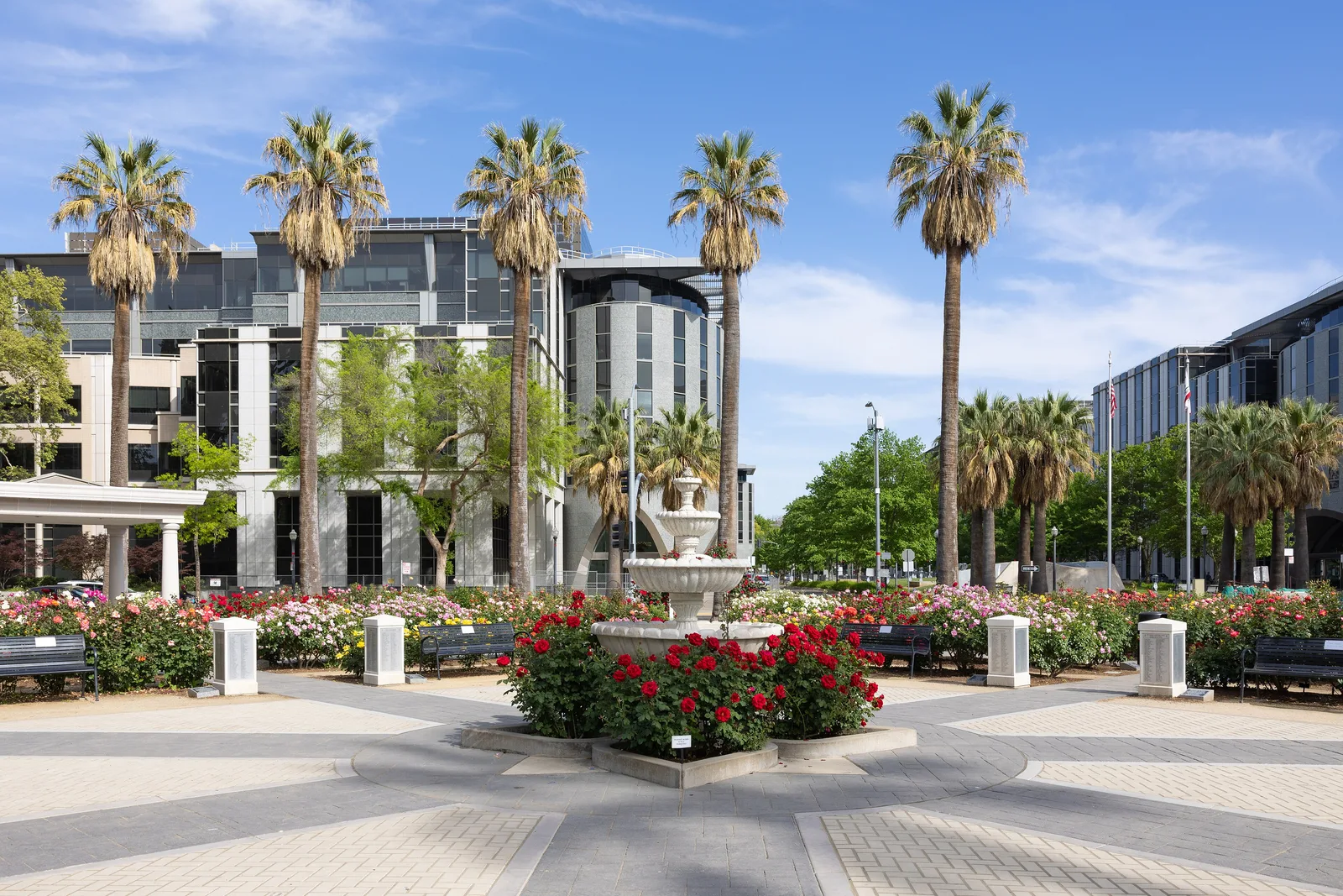 World Peace Rose Garden, California State Capitol Park in Sacramento, California
