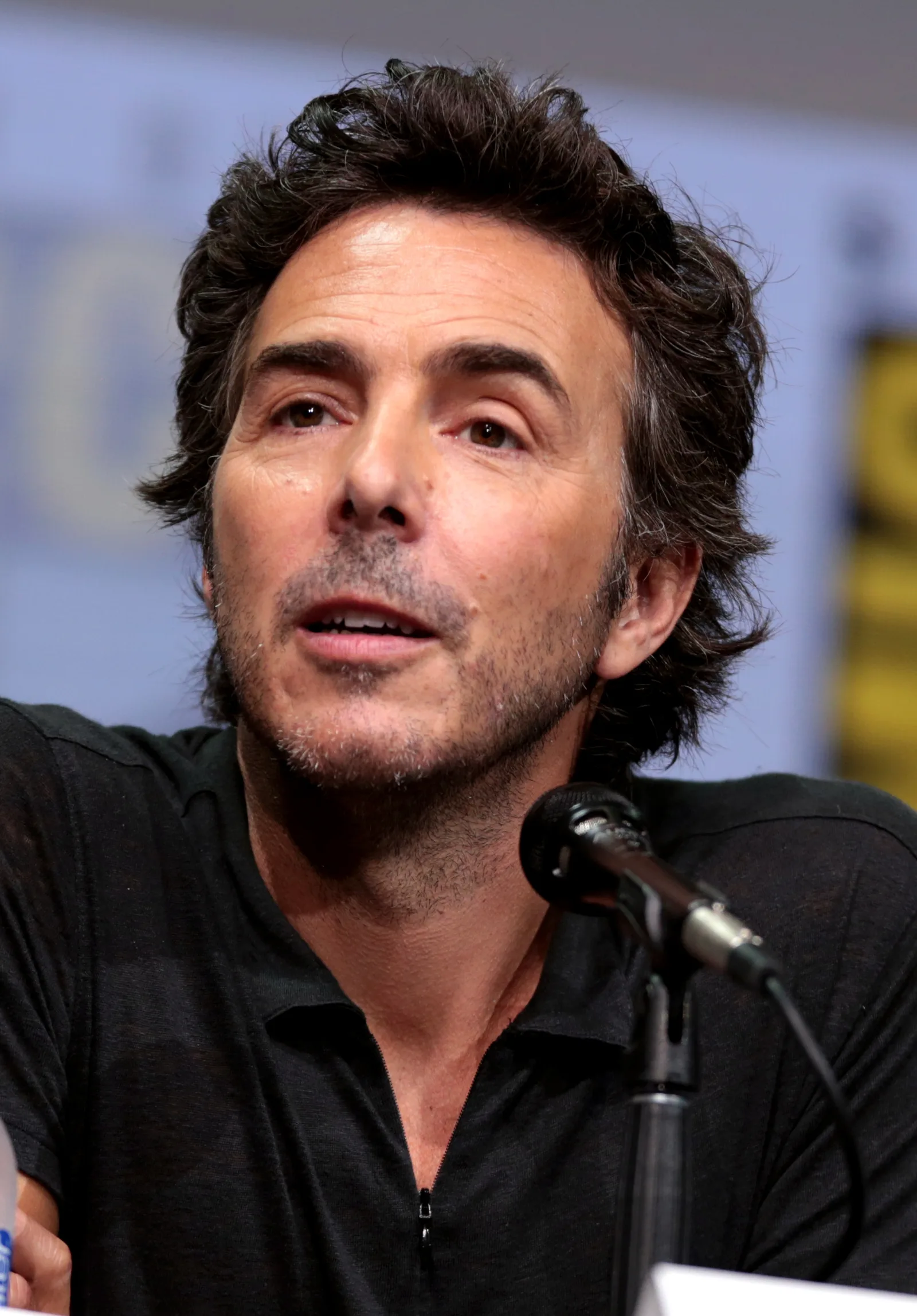 Director Shawn Levy speaking at San Diego Comic-Con in 2017