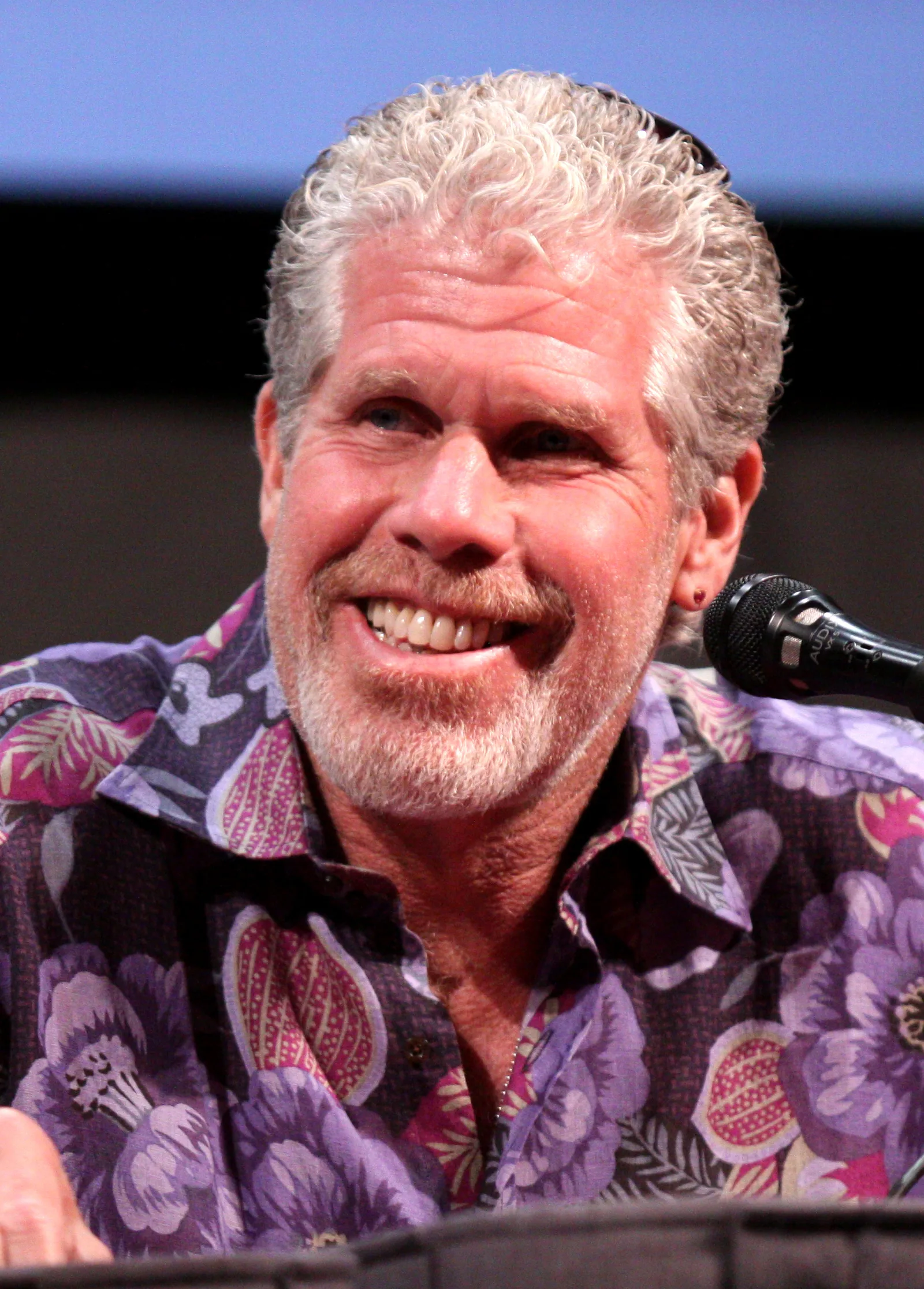 Ron Perlman at the 2011 Comic Con in San Diego